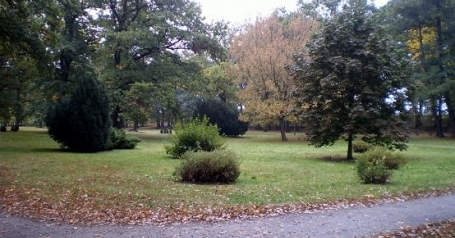 Park Biskupiński - zbliżenie
