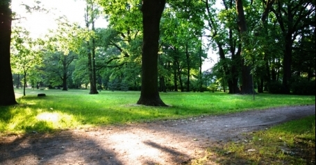 Park Biskupiński - galeria