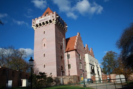 Zamek Królewski w Poznaniu - zbliżenie