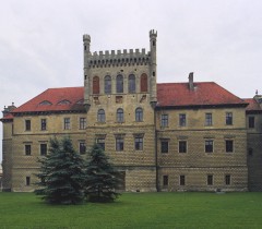 Zamek w Mirowie w Książu Wielkim