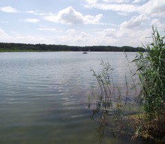 Jezioro Lusowskie 