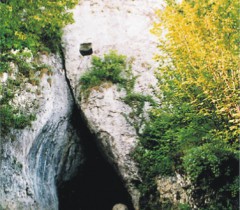 Jaskinia Nietoperzowa - Jerzmanowice