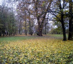 Park Bieńkowicki