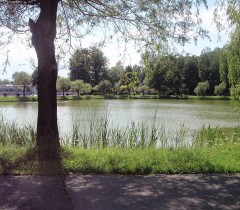 Park im. J. Kuronia