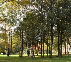 Park Wiśniowy Sad